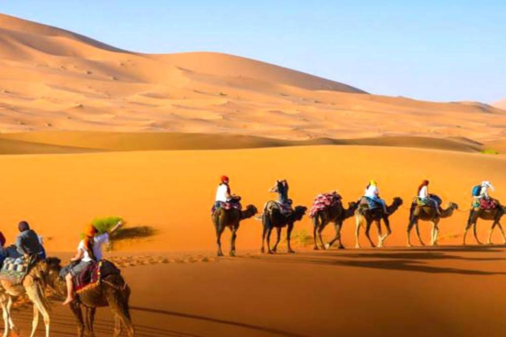 Sahara Safari Camp 호텔 메르주가 외부 사진